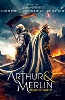 Arthur & Merlin: Knights of Camelot 2020 online hd in romana