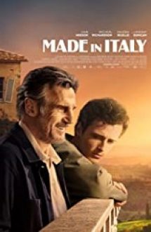 Made in Italy 2020 online hd subtitrat