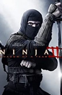 Ninja: Shadow of a Tear (2013) online subtitrat in romana