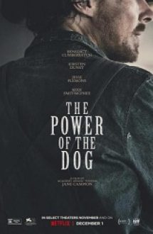 The Power of the Dog 2021 filme gratis