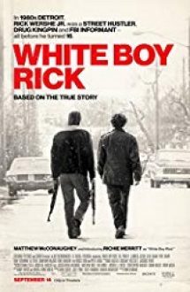 White Boy Rick 2018 film subtitrat online hd